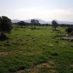 B&B Pira Pinta