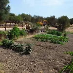 B&B Pira Pinta