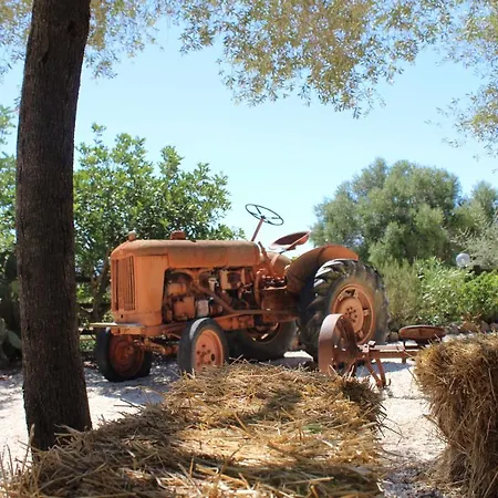 Pira Pinta Bed & Breakfast Dorgali