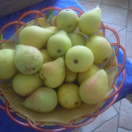 Bed & Breakfast Pira Pinta