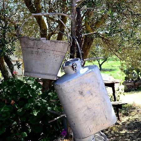 Pira Pinta Bed & Breakfast 3*