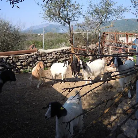 Bed & Breakfast Pira Pinta Dorgali