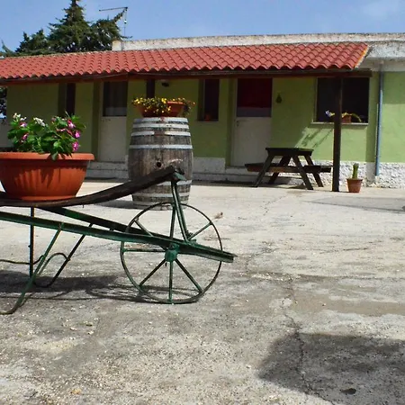 Pira Pinta Dorgali