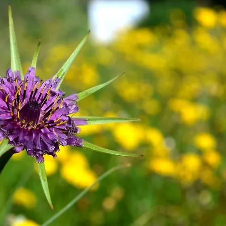 Bed & Breakfast Pira Pinta 3*