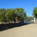 Pira Pinta Доргали