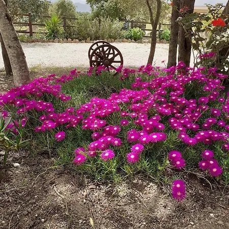 Pira Pinta Bed & Breakfast 3*