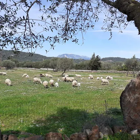 Pira Pinta Bed & Breakfast 3*