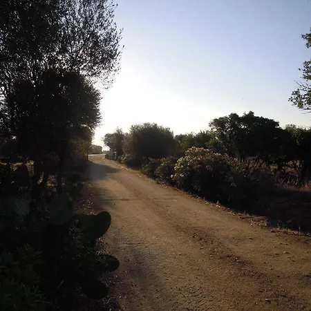 Pira Pinta Dorgali