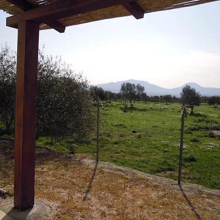 Pira Pinta Dorgali
