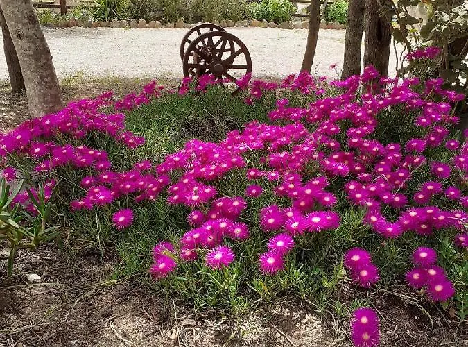 Pira Pinta Bed and Breakfast 3*