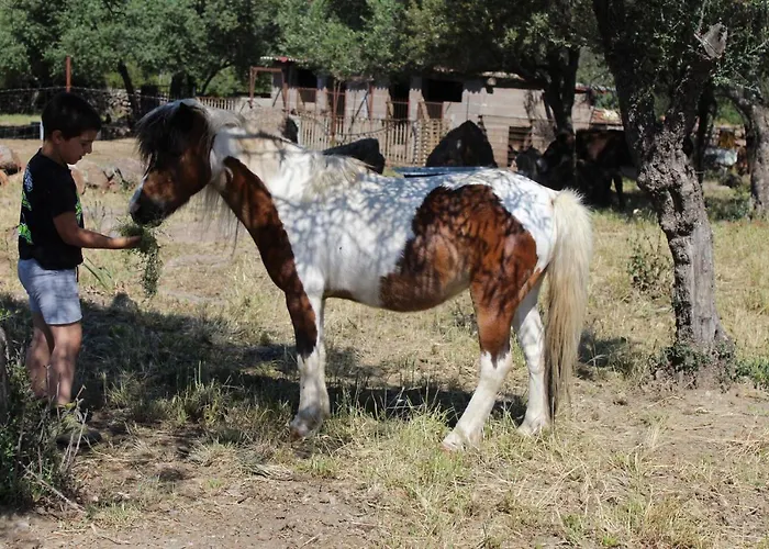 Bed and Breakfast Pira Pinta Dorgali