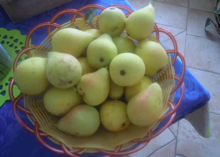 Bed and Breakfast Pira Pinta