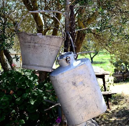 Pira Pinta Bed and Breakfast 3*