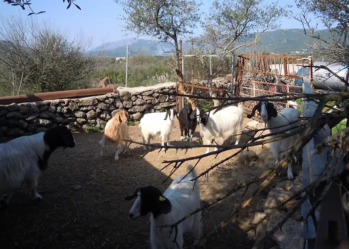 Bed and Breakfast Pira Pinta Dorgali