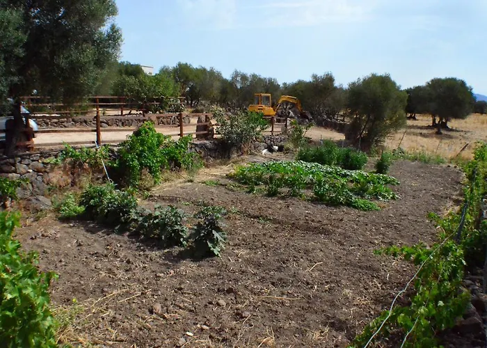 Bed and Breakfast Pira Pinta